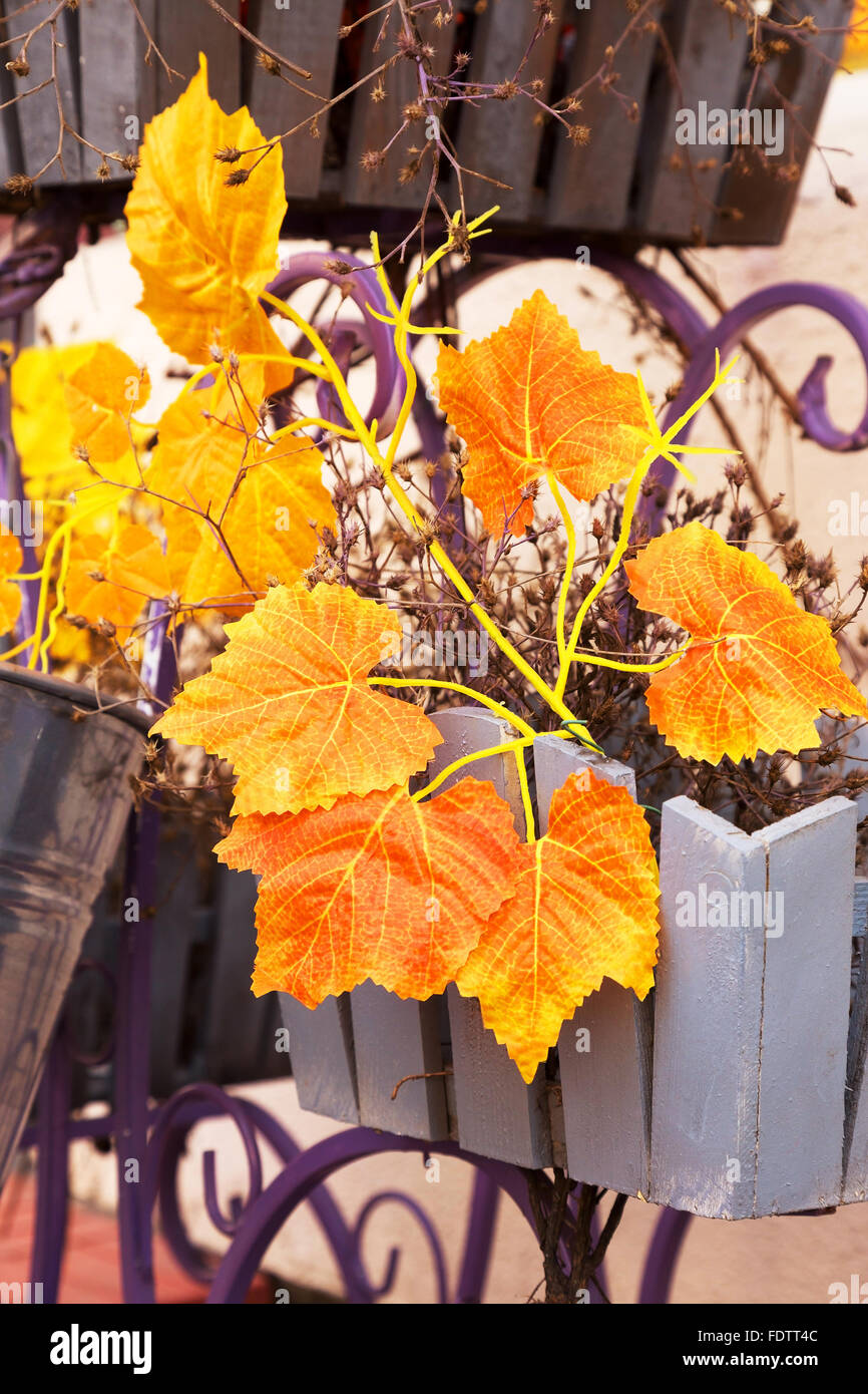 De belles vues sur la composition d'automne décoration décoration créative feuilles jaune vif automne fond lumineux pour la conception. Banque D'Images