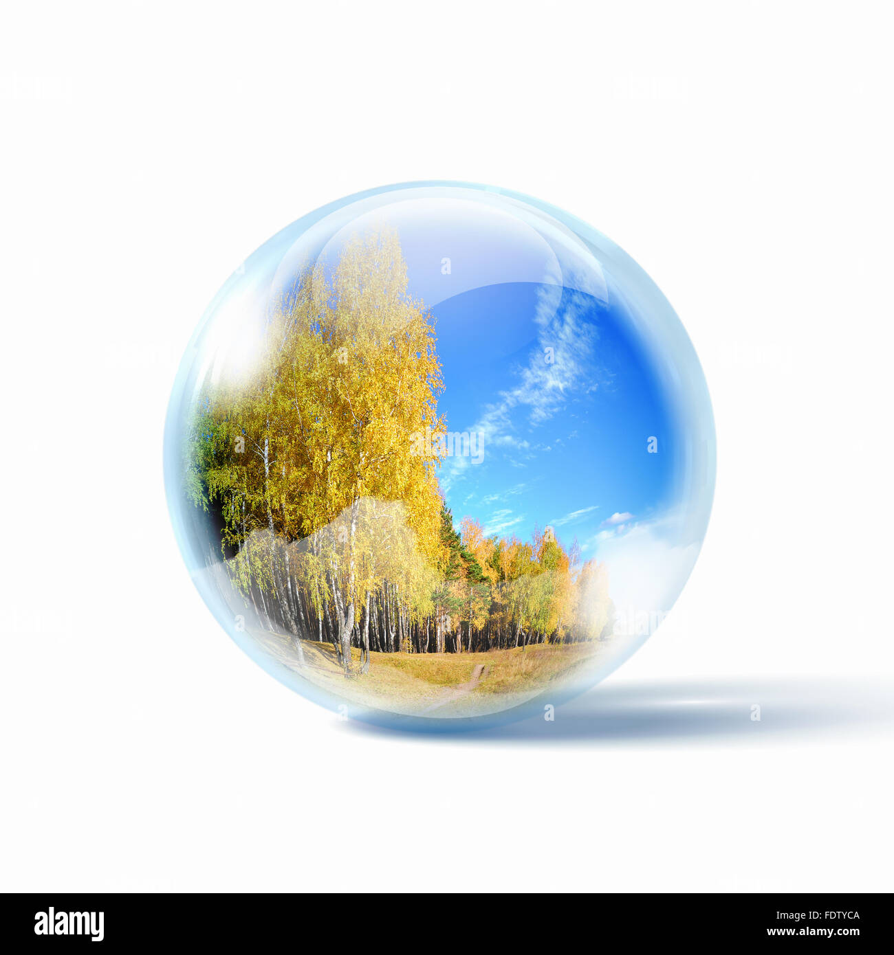 Forêt d'automne de jour à l'intérieur d'une sphère de verre Banque D'Images