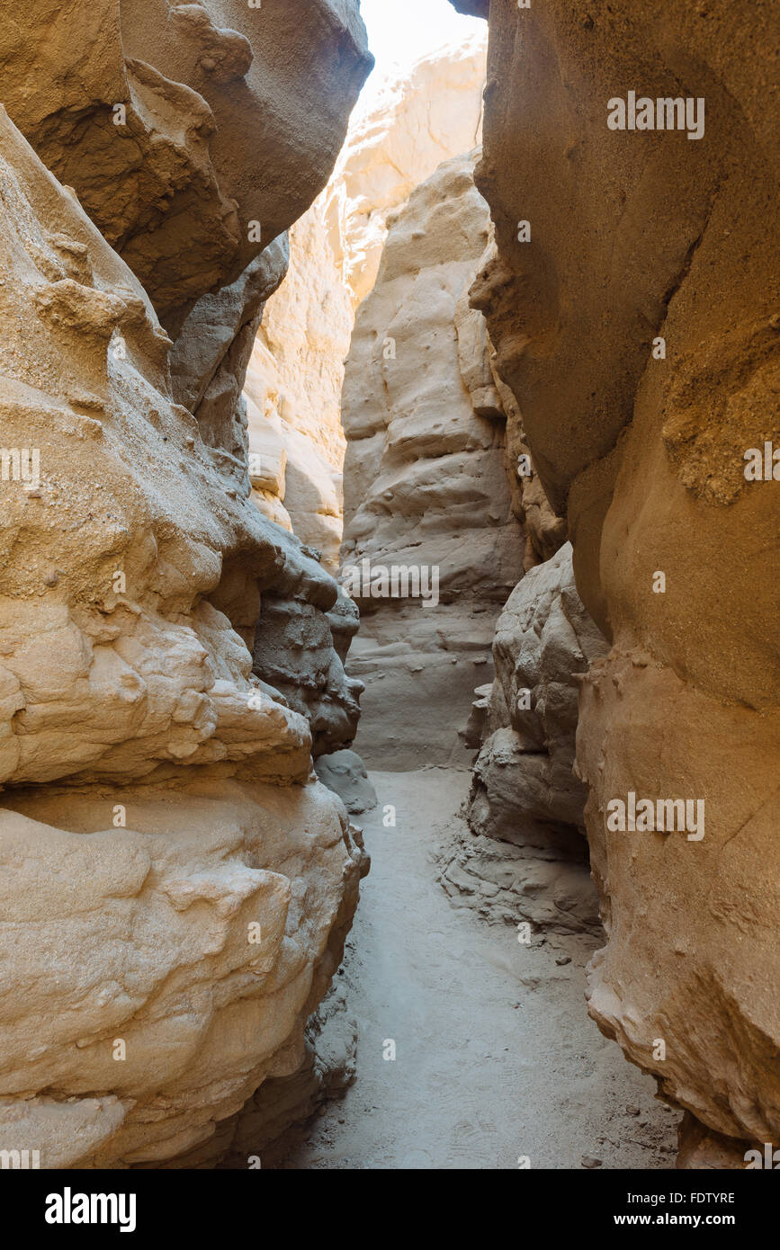Un slot canyon dans Anza-Borrego Desert State Park, Californie Banque D'Images
