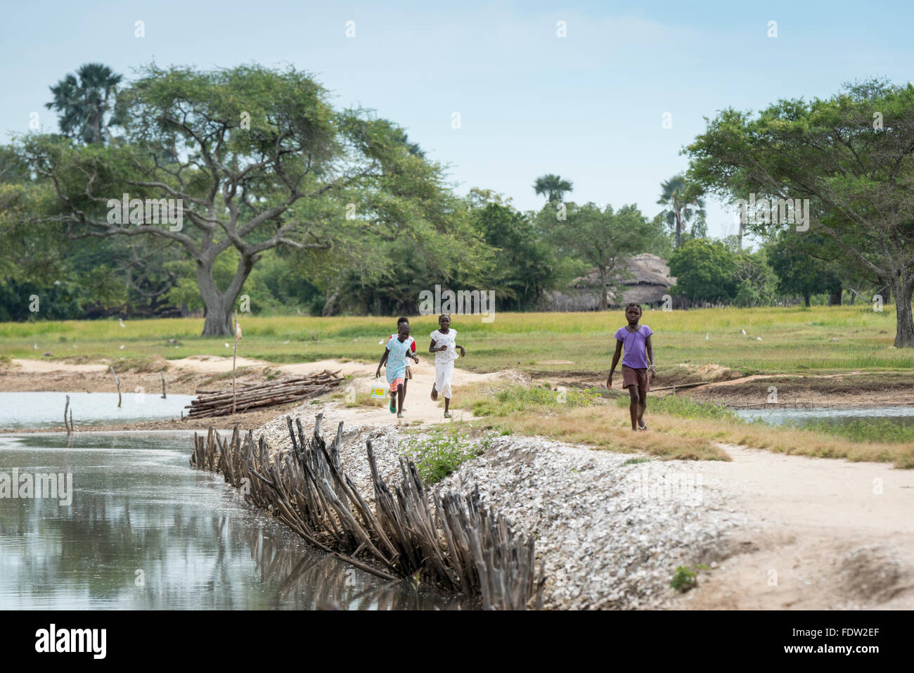 Les villageois de marcher le long d'un chemin d'Elia à la route principale, le nord de la Guinée Bissau. Banque D'Images