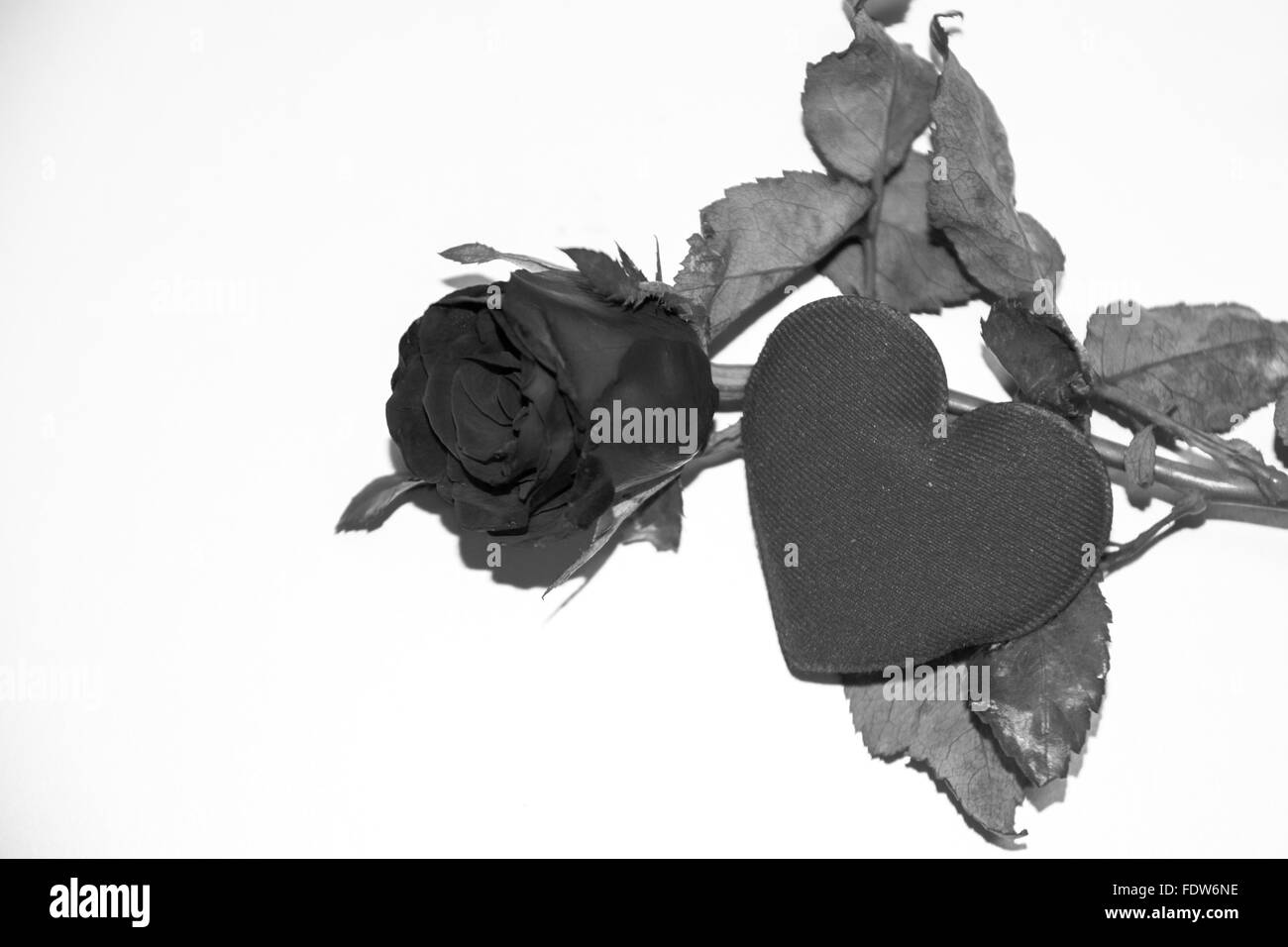 Roses rouges en forme de cœur et de fond de l'amour et la saint valentin. Banque D'Images