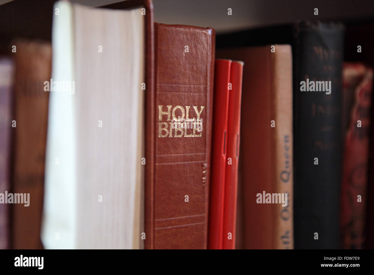 Ancien, vintage, livres colorés sur étagère Banque D'Images