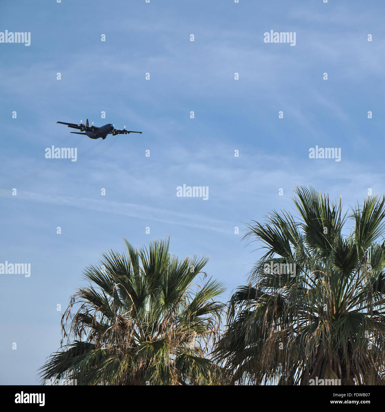 Lockheed C-130 Hercules et palmier dans Faro, Algarve, Portugal Banque D'Images