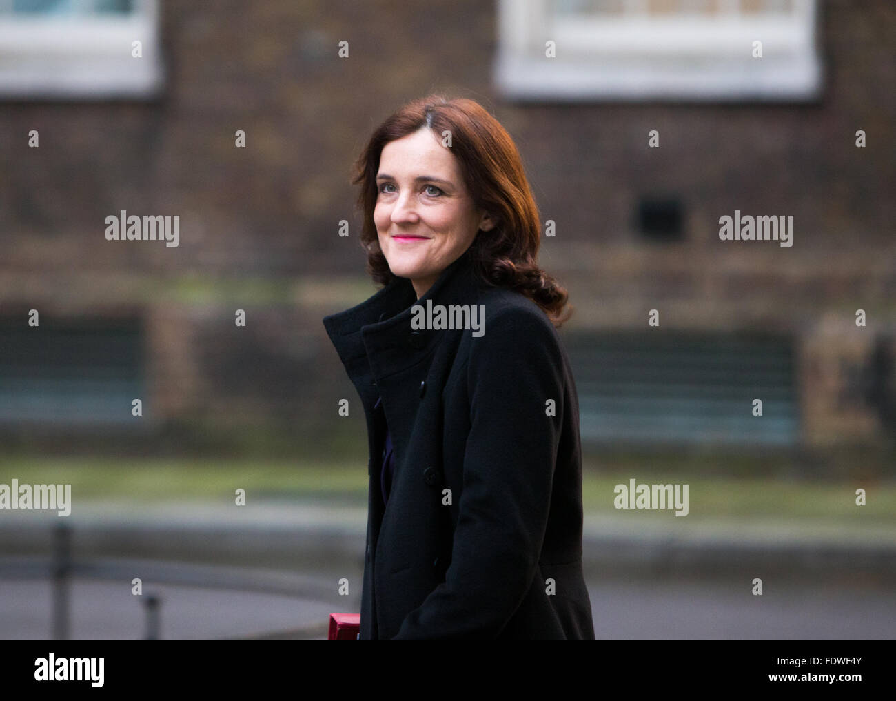 Theresa Villiers,secrétaire d'État pour l'Irlande du Nord,arrive au numéro 10 Downing Street pour une réunion du Cabinet Banque D'Images