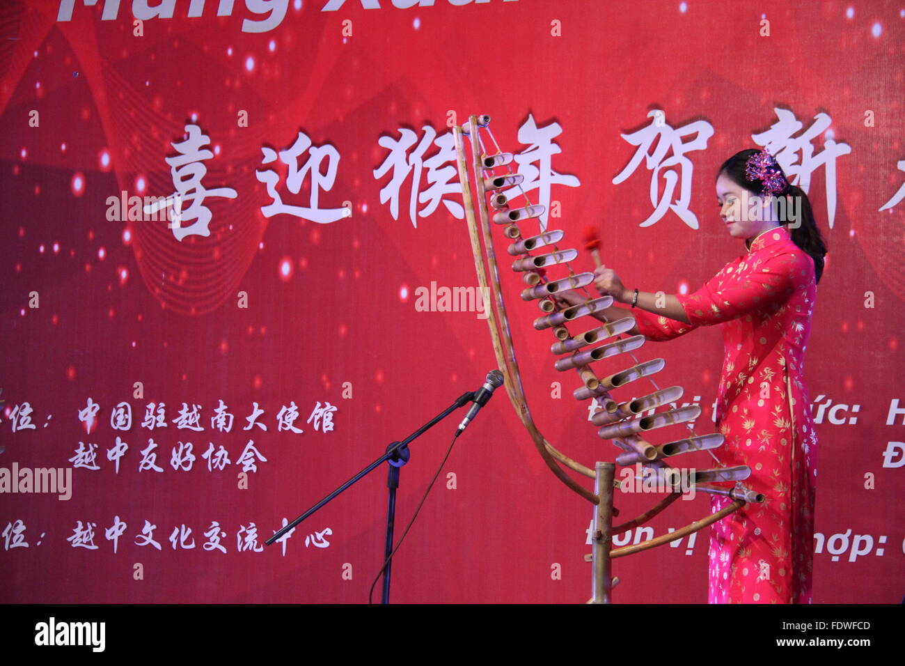 Hanoi, Vietnam. Feb, 2016 2. Un artiste interprète ou exécutant de l'Orchestre de bambou du Vietnam effectue pendant la Fête du Printemps 2016 fête organisée par l'ambassade de Chine au Vietnam, à Hanoi, capitale du Vietnam, le 2 février 2016. Le crédit : Yanna/Xinhua/Alamy Live News Banque D'Images