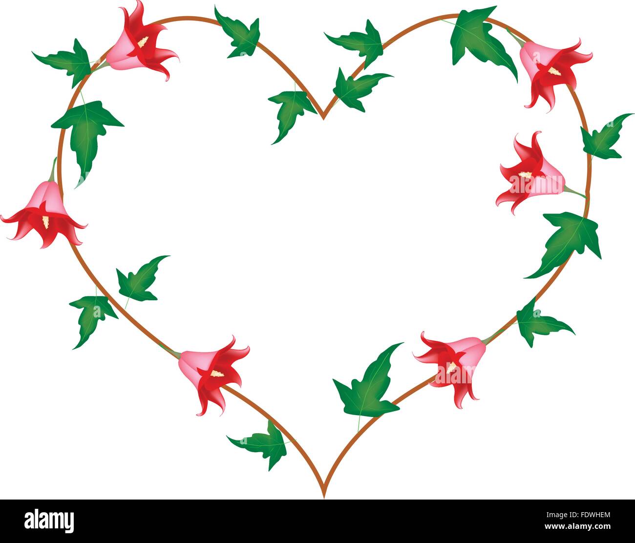 Concept d'amour, de l'illustration de l'Alhambra Canariensis ou fleurs campanules canarien formant en forme de coeur isolated on White Backg Illustration de Vecteur