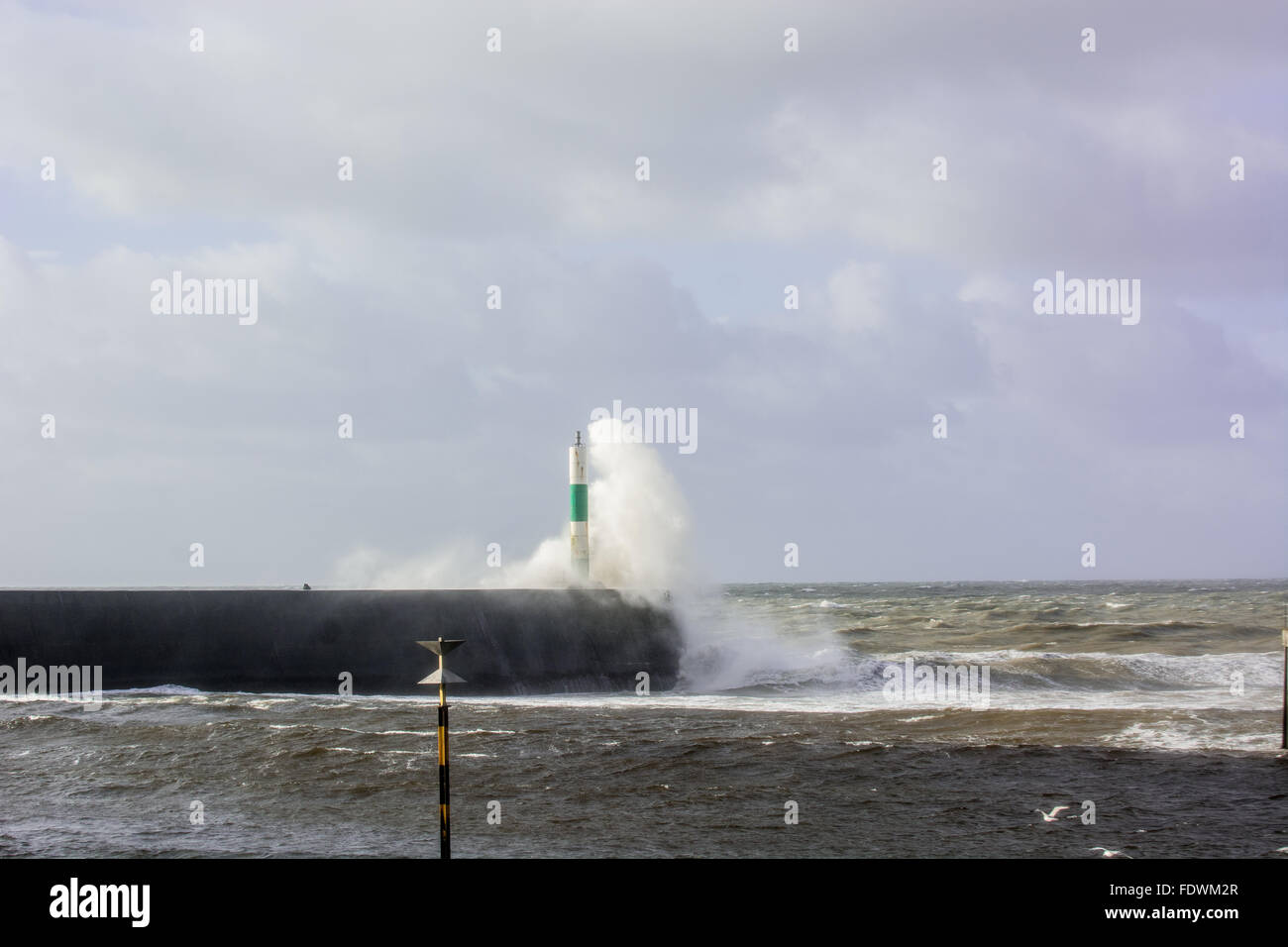 Aberystwyth, Ceredigion, West Wales, UK. 2 Février, 2016. Météo France : la force de coup de vent et de haute mer continuent de la côte galloise pâte à Aberystwyth que les gens vaquent à leurs affaires et le travail se poursuit. Credit : Trebuchet Photography / Alamy Live News Banque D'Images