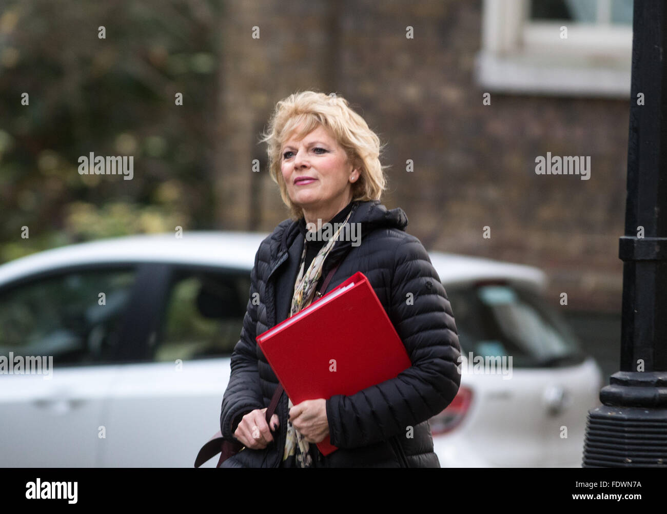 Anna Soubry,ministre de la petite entreprise,l'industrie et de l'entreprise,arrive au numéro 10 Downing Street pour une réunion du Cabinet Banque D'Images