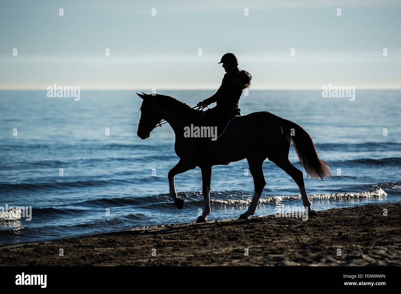 Silhouette d'avenant à la beach riding horse Banque D'Images