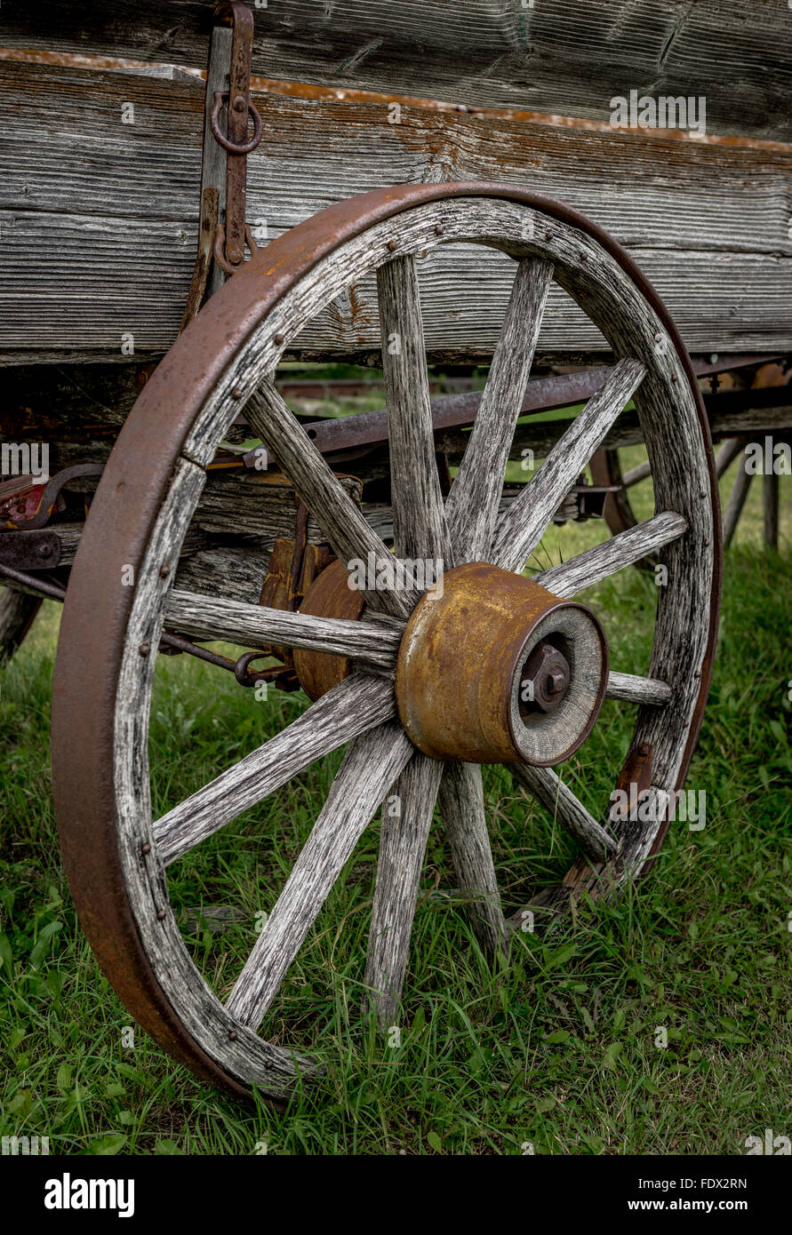 Roue pour wagon antique Banque D'Images