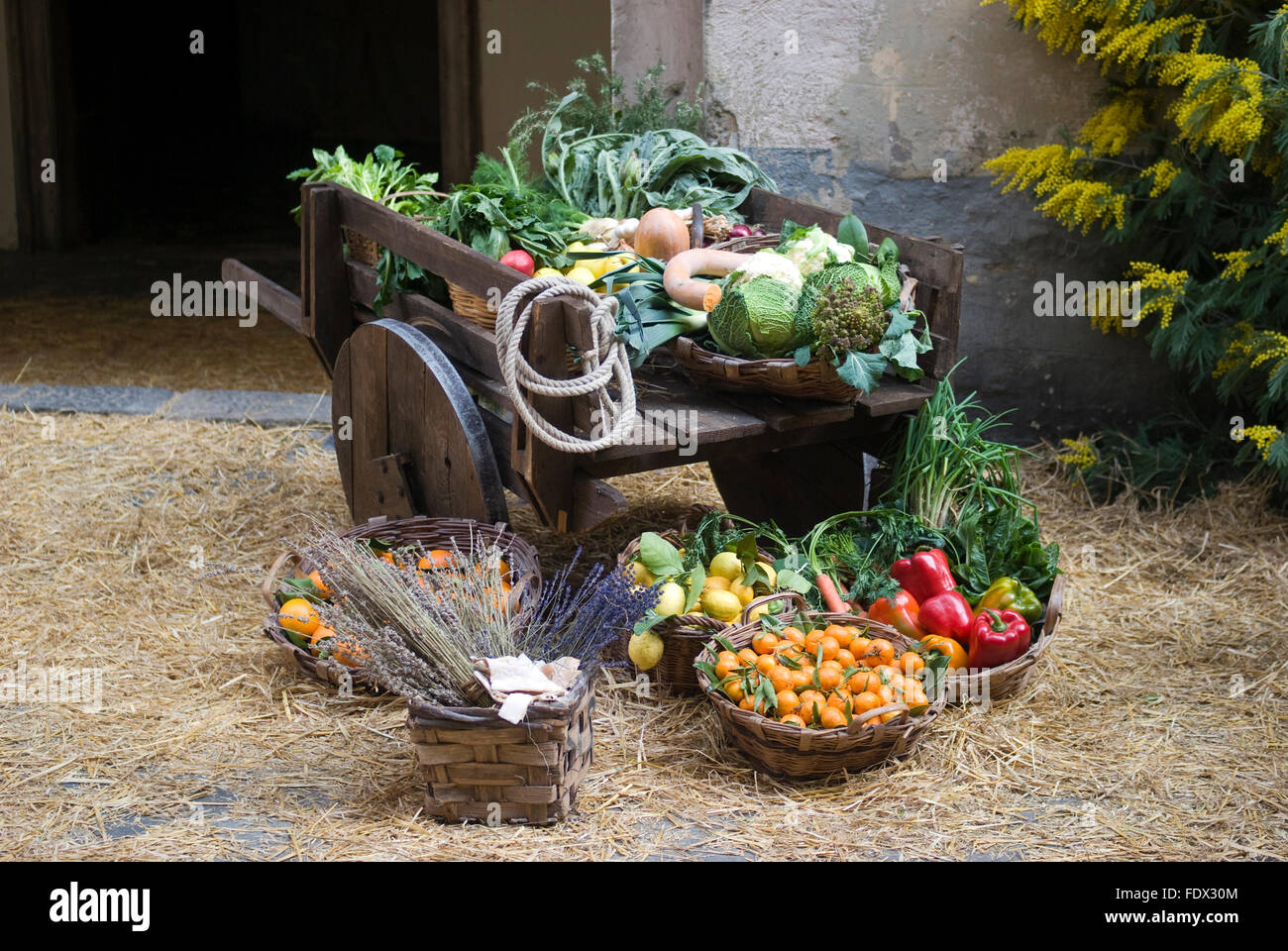 Blocage des fruits et légumes au marché médiéval Banque D'Images