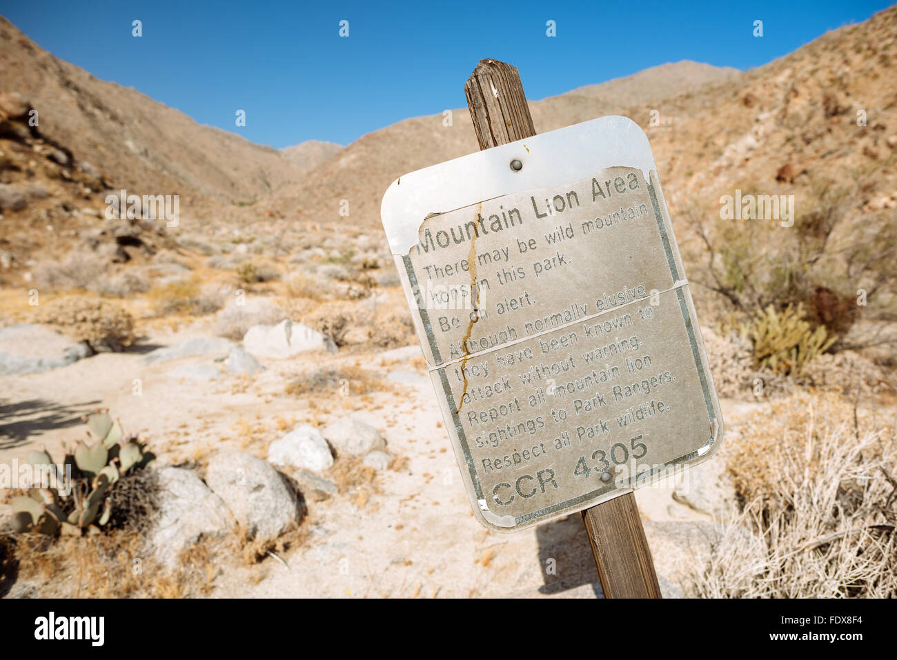 Un signe d'avertissement dans l'activité de mountain lion Canyon Hellhole, Anza-Borrego Desert State Park, Californie Banque D'Images