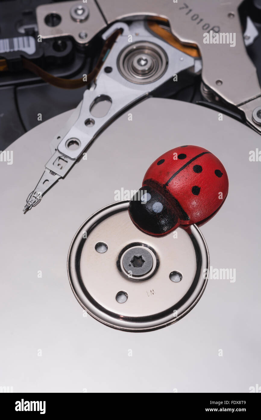 Ladybird ladybug / sur un clavier de PC - comme une métaphore visuelle pour le concept de 'bug' ou 'infection virale / system'. Banque D'Images