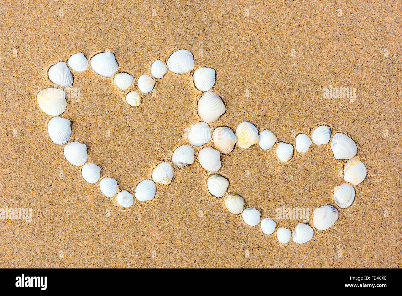 Coeurs de coquillages de mer sur la plage de fond de sable. Banque D'Images