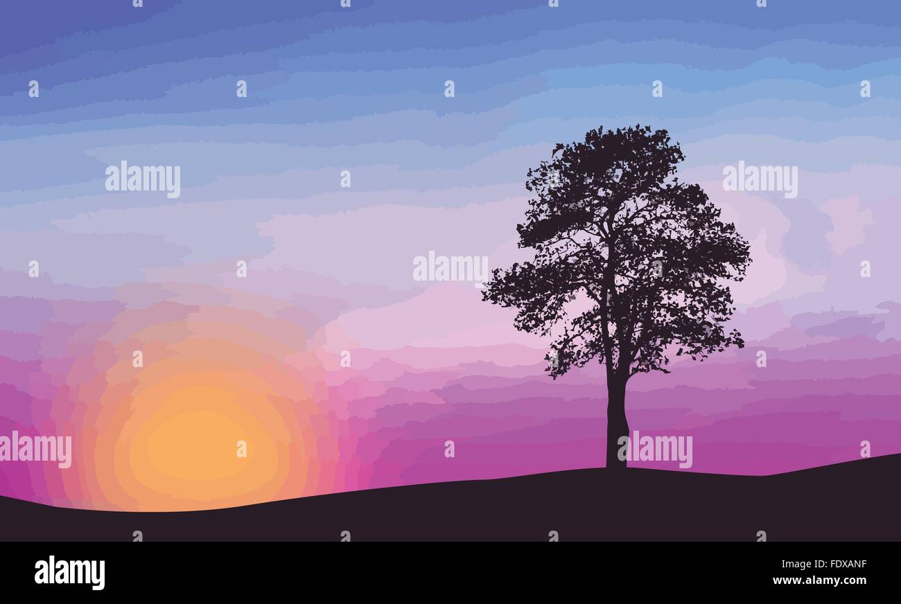 Un arbre isolé sur le magnifique coucher de soleil, vector illustration Illustration de Vecteur