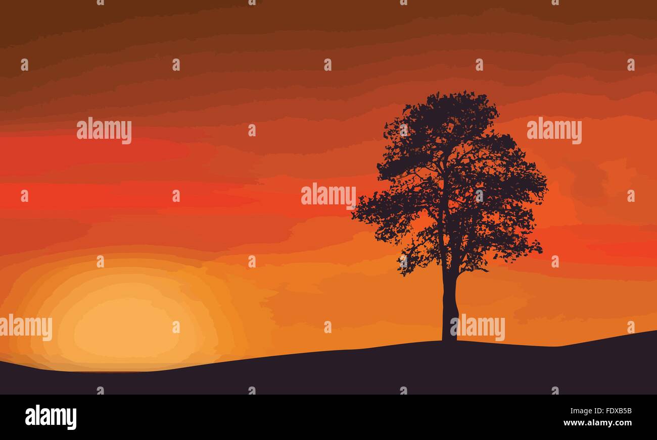 Un arbre isolé sur le magnifique coucher de soleil, vector illustration Illustration de Vecteur