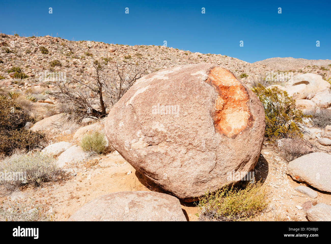 Une intéressante boulder de Anza-Borrego Desert State Park, Californie Banque D'Images