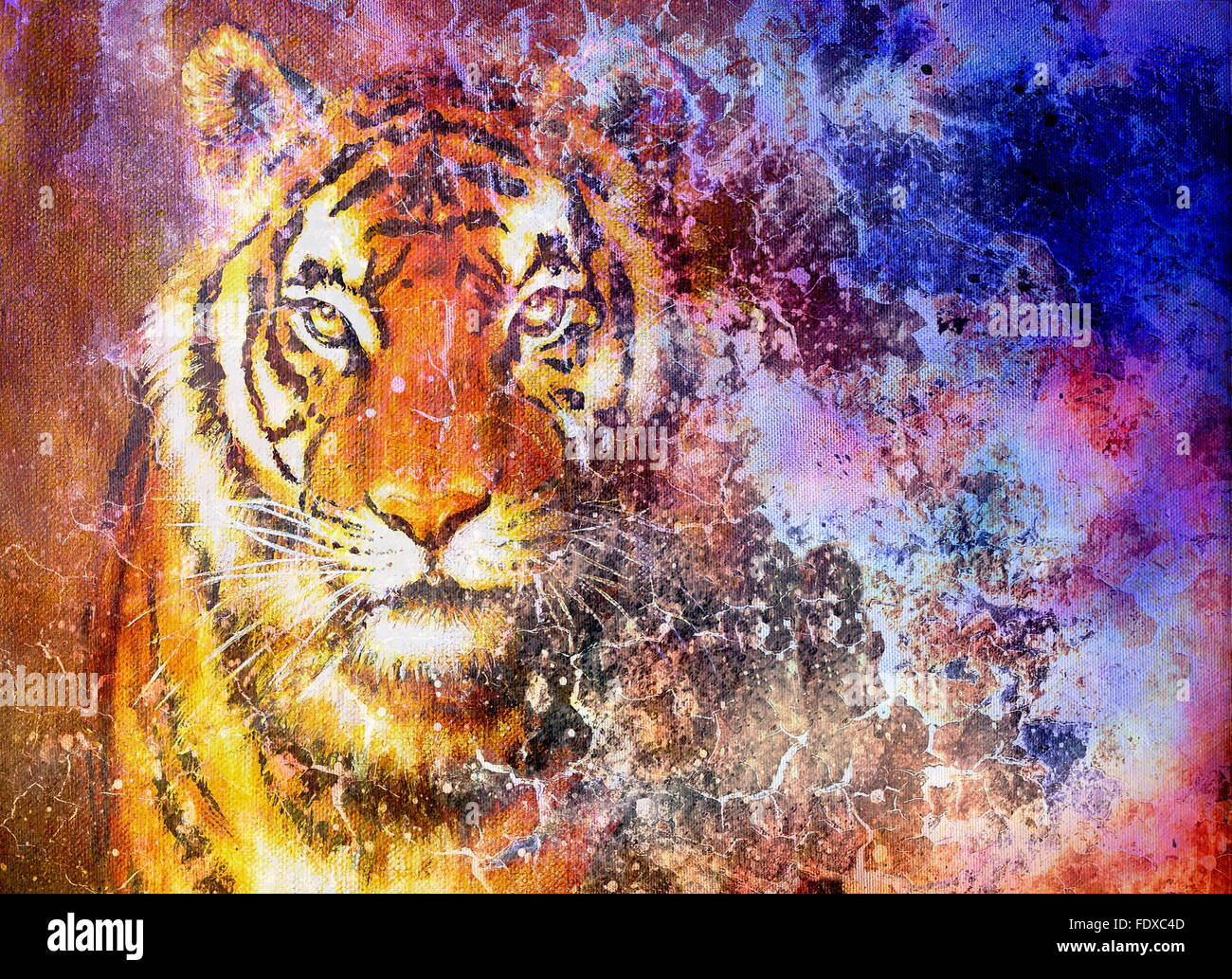 Tête de tigre dans l'espace avec des étoiles, collage de l'ordinateur. Banque D'Images