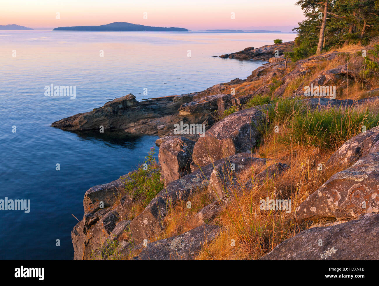 L'île de Saltspring (Colombie-Britannique) : aube lumière sur la côte rocheuse de Beaver Point et le chenal Swanson, parc provincial Ruckle Banque D'Images