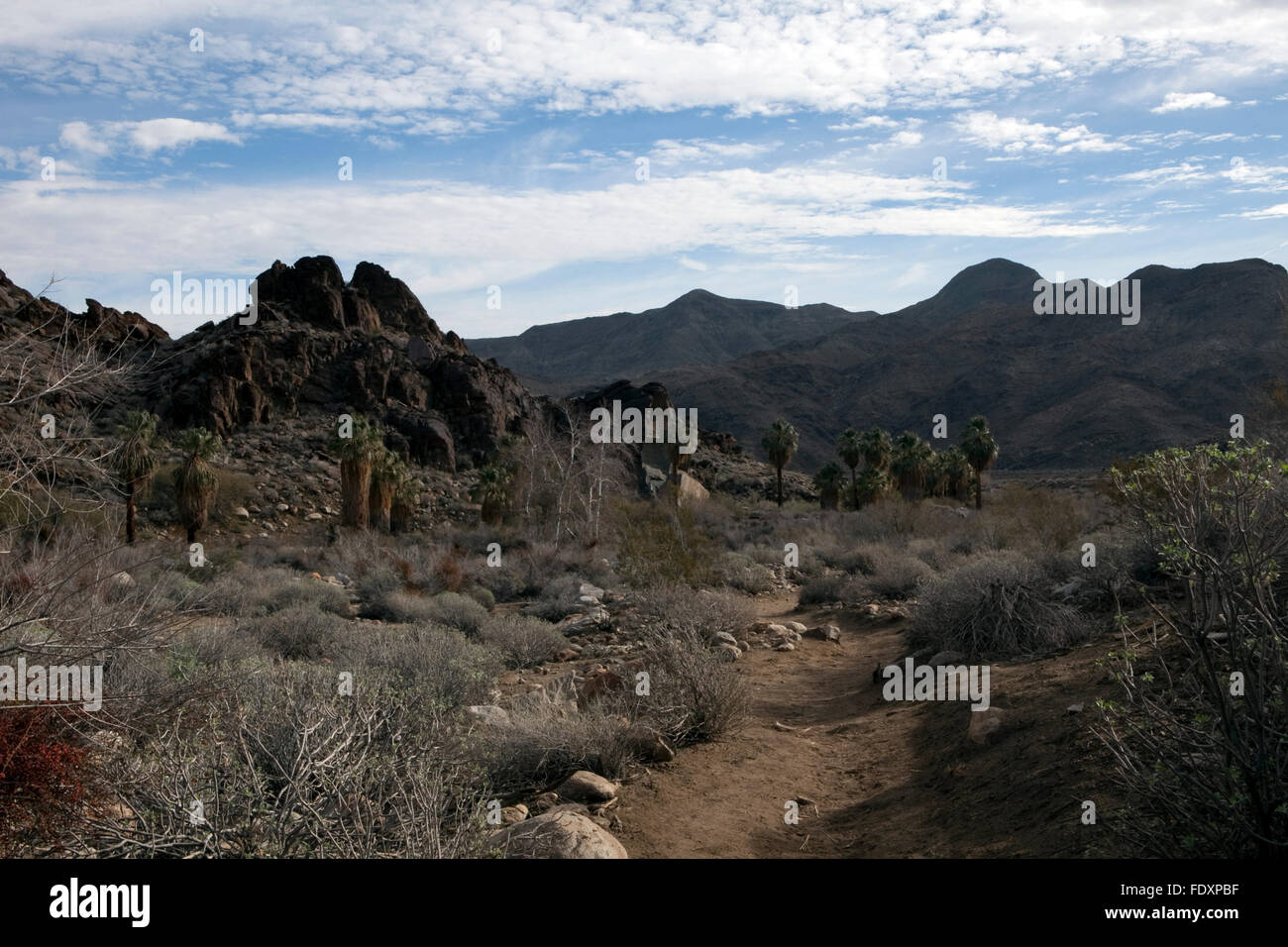 Une vue sur les Canyons Indiens à Palm Springs, Californie Banque D'Images