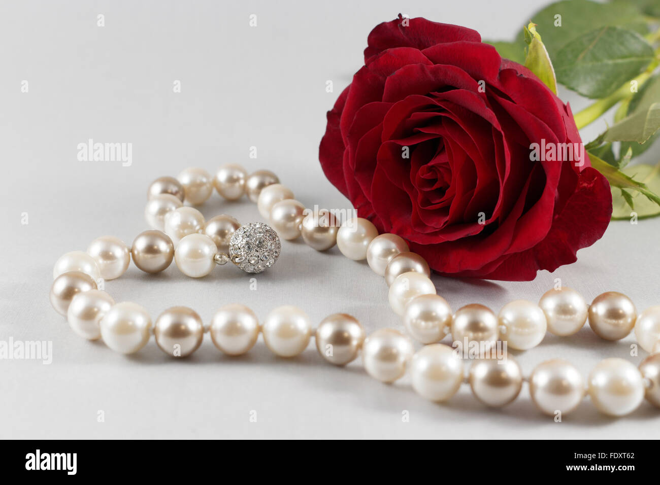 Rose et perles rouges sur fond blanc Banque D'Images