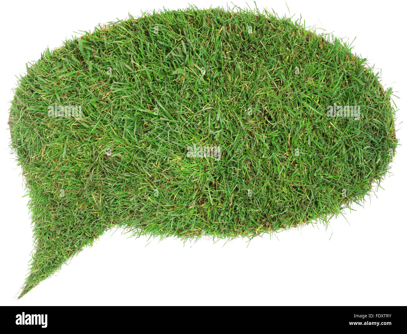 Grass Bulle isolé sur fond blanc Banque D'Images Grass Bulle isolé sur fond blanc Banque D'Images