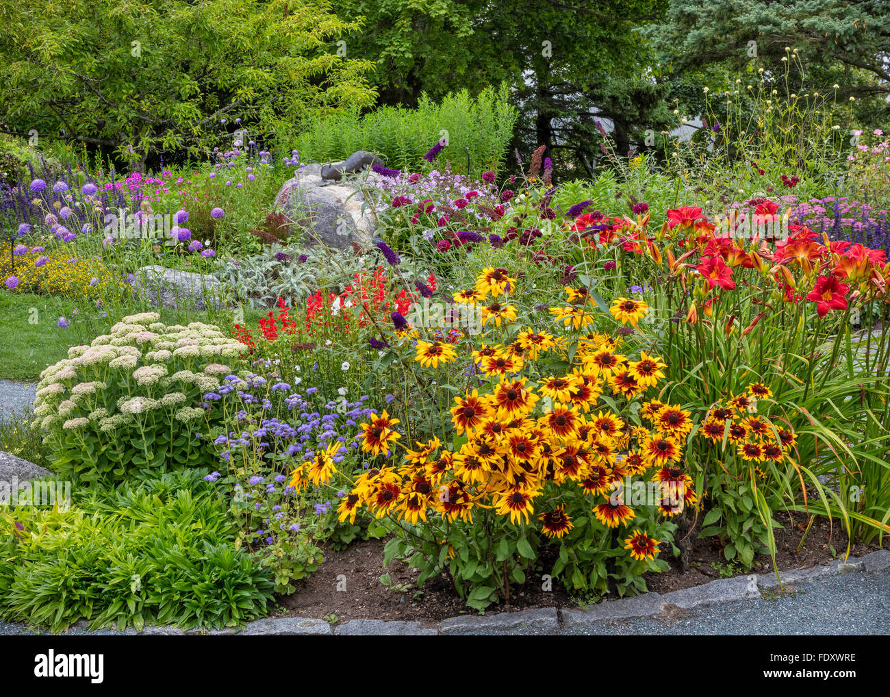 Southwest Harbor, Maine : jardins et des sentiers dans le parc et Charlotte Rhoades Butterfly Garden. Doté d''Rudbeckia Banque D'Images