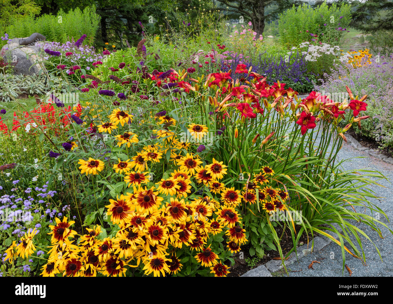 Southwest Harbor, Maine : jardins et des sentiers dans le parc et Charlotte Rhoades Butterfly Garden. Doté d''Rudbeckia Banque D'Images