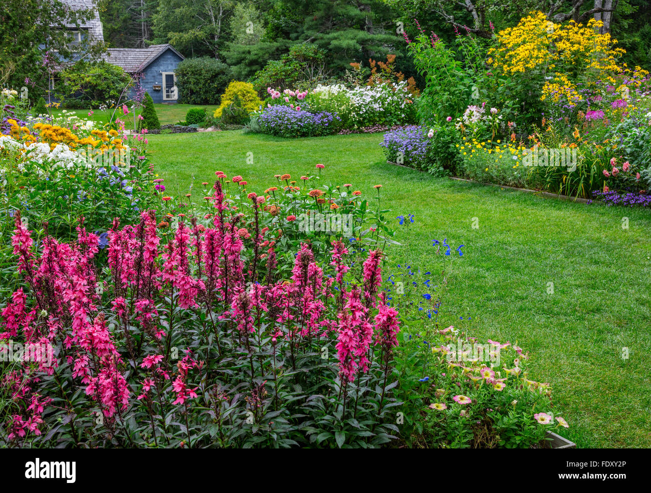 Northeast Harbor, Maine : Thuya jardin en été. Doté d''lobelia 'Fan' de saumon à fleurs blanches, phlox, zinnias, Veronica Banque D'Images