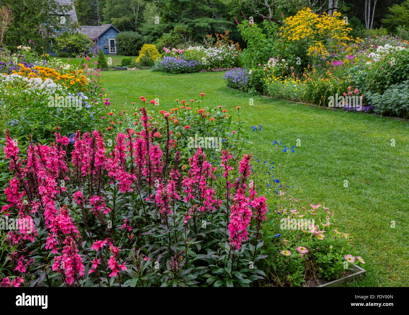Northeast Harbor, Maine : Thuya jardin en été. Doté d''lobelia 'Fan' de saumon à fleurs blanches, phlox, zinnias, Veronica Banque D'Images