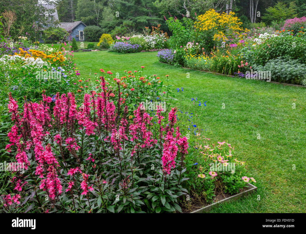 Northeast Harbor, Maine : Thuya jardin en été. Doté d''lobelia 'Fan' de saumon à fleurs blanches, phlox, zinnias, Veronica Banque D'Images
