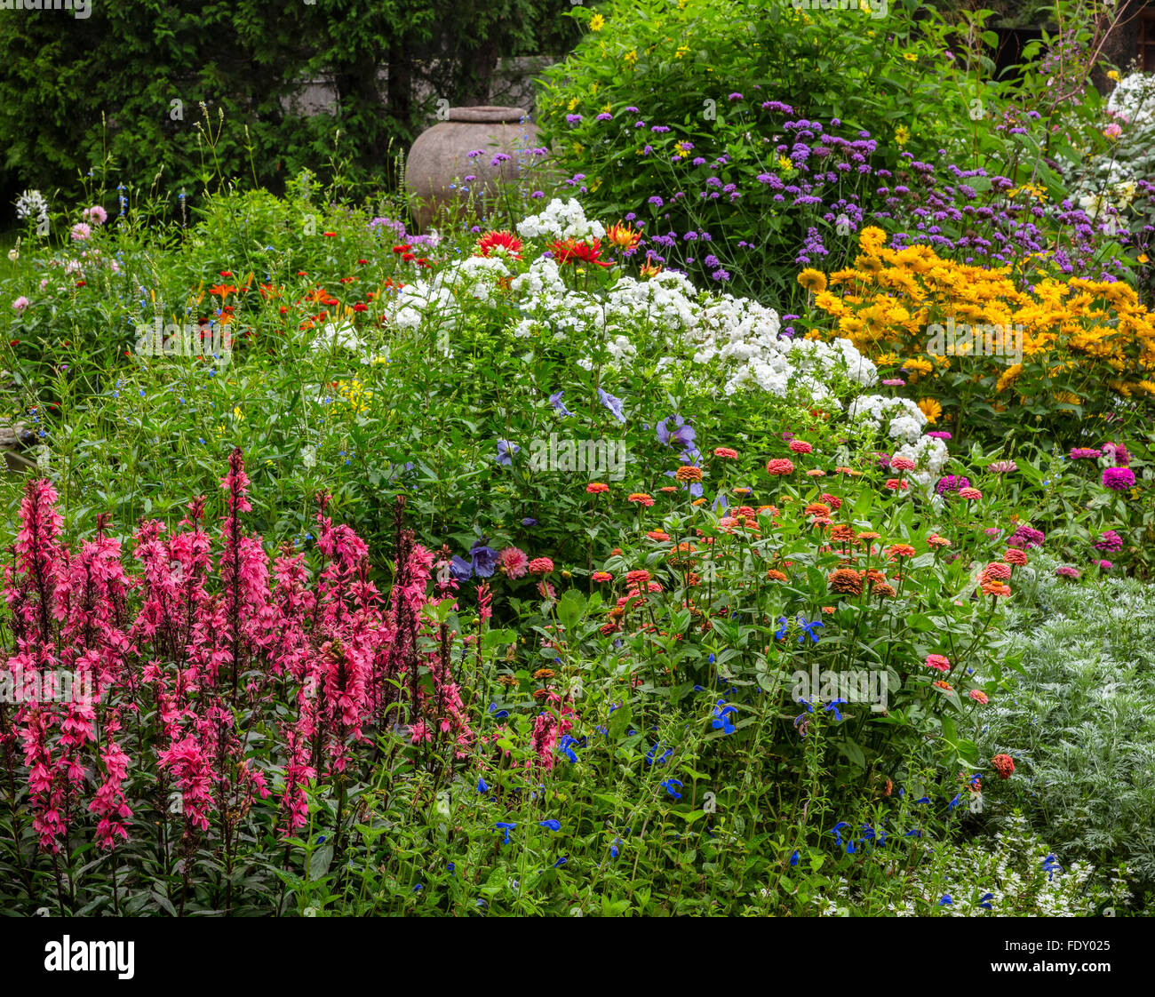 Northeast Harbor, Maine : Thuya jardin en été. Doté d''lobelia 'Fan' de saumon à fleurs blanches, phlox, zinnias, Veronica Banque D'Images