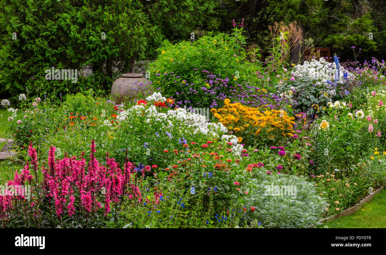 Northeast Harbor, Maine : Thuya jardin en été. Doté d''lobelia 'Fan' de saumon à fleurs blanches, phlox, zinnias, Veronica Banque D'Images