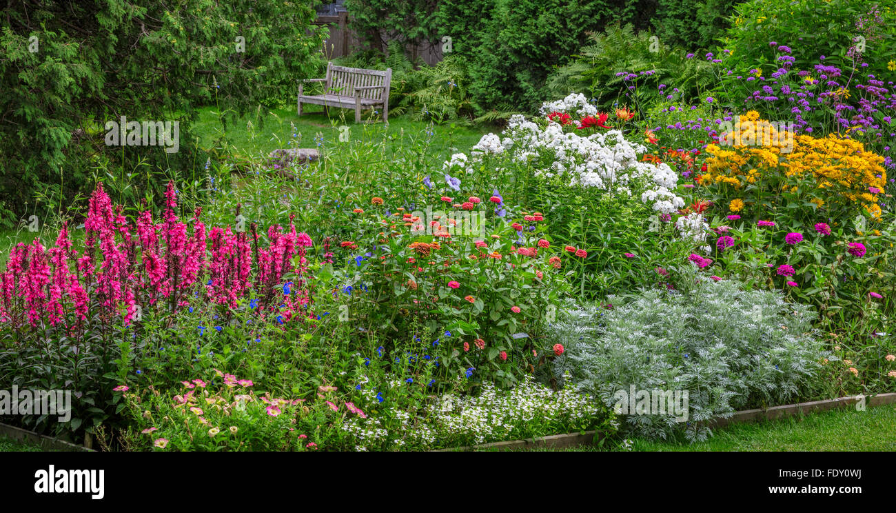 Northeast Harbor, Maine : Thuya jardin en été. Doté d''lobelia 'Fan' de saumon à fleurs blanches, phlox, zinnias, Veronica Banque D'Images