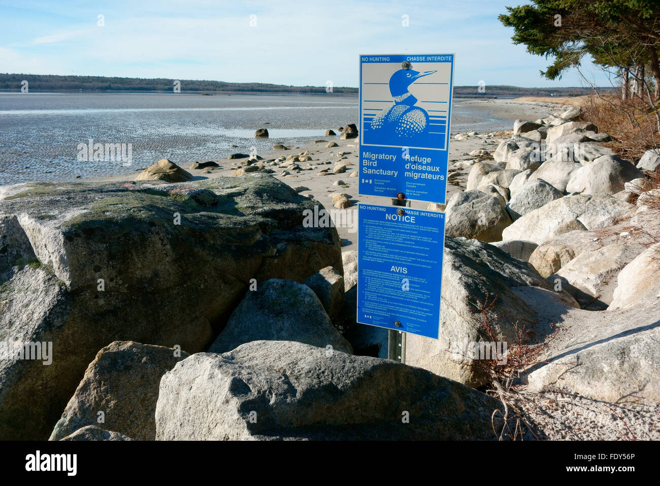 Refuge d'oiseaux migrateurs de Port Joli, Nova Scotia, Canada Banque D'Images