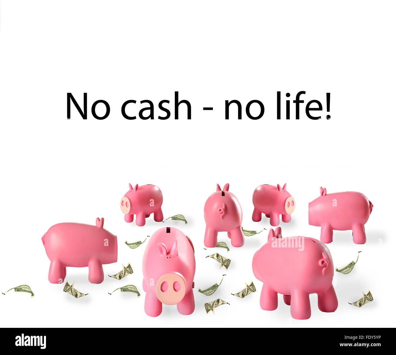 Tirelire et des feuilles - un symbole de l'investissement dans l'avenir Banque D'Images