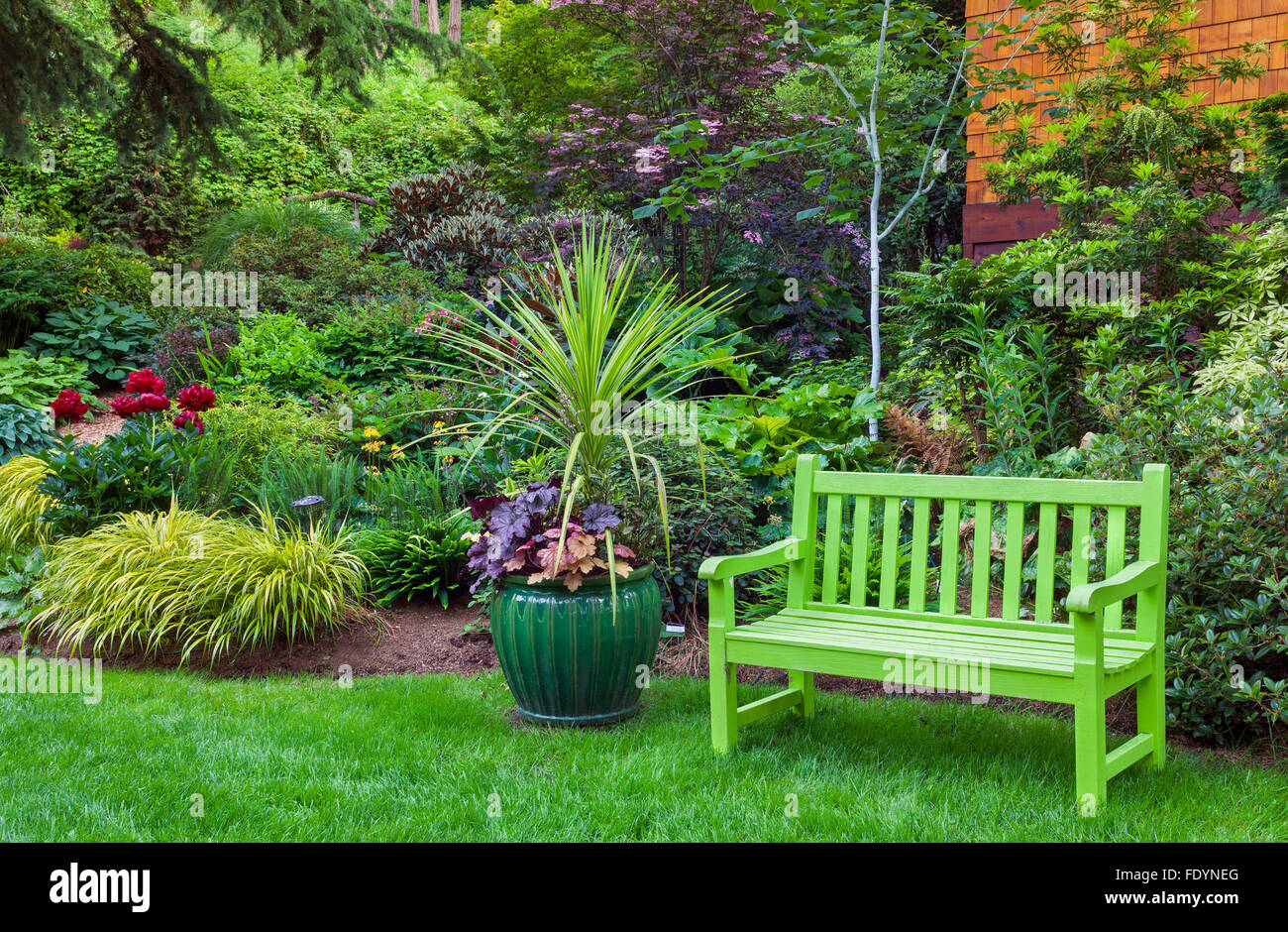 Vashon-Maury Island, WA : un banc et pot Vert chartreuse d'heuchère Heucherella (sp) et palm dans un jardin éternel Banque D'Images