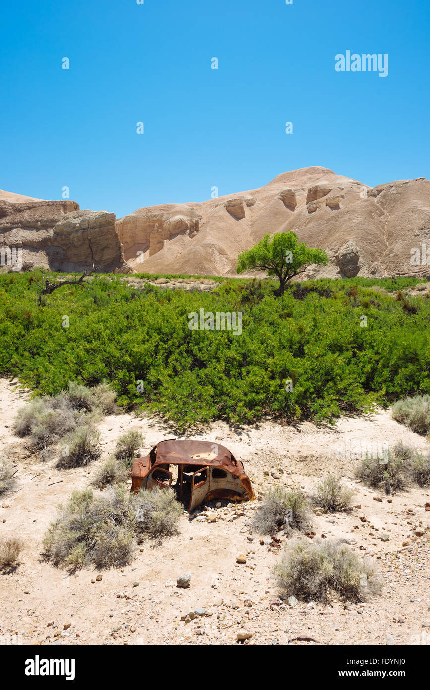 Paysage désertique le long de la rivière Amargosa sentier près de Tecopa, California Banque D'Images
