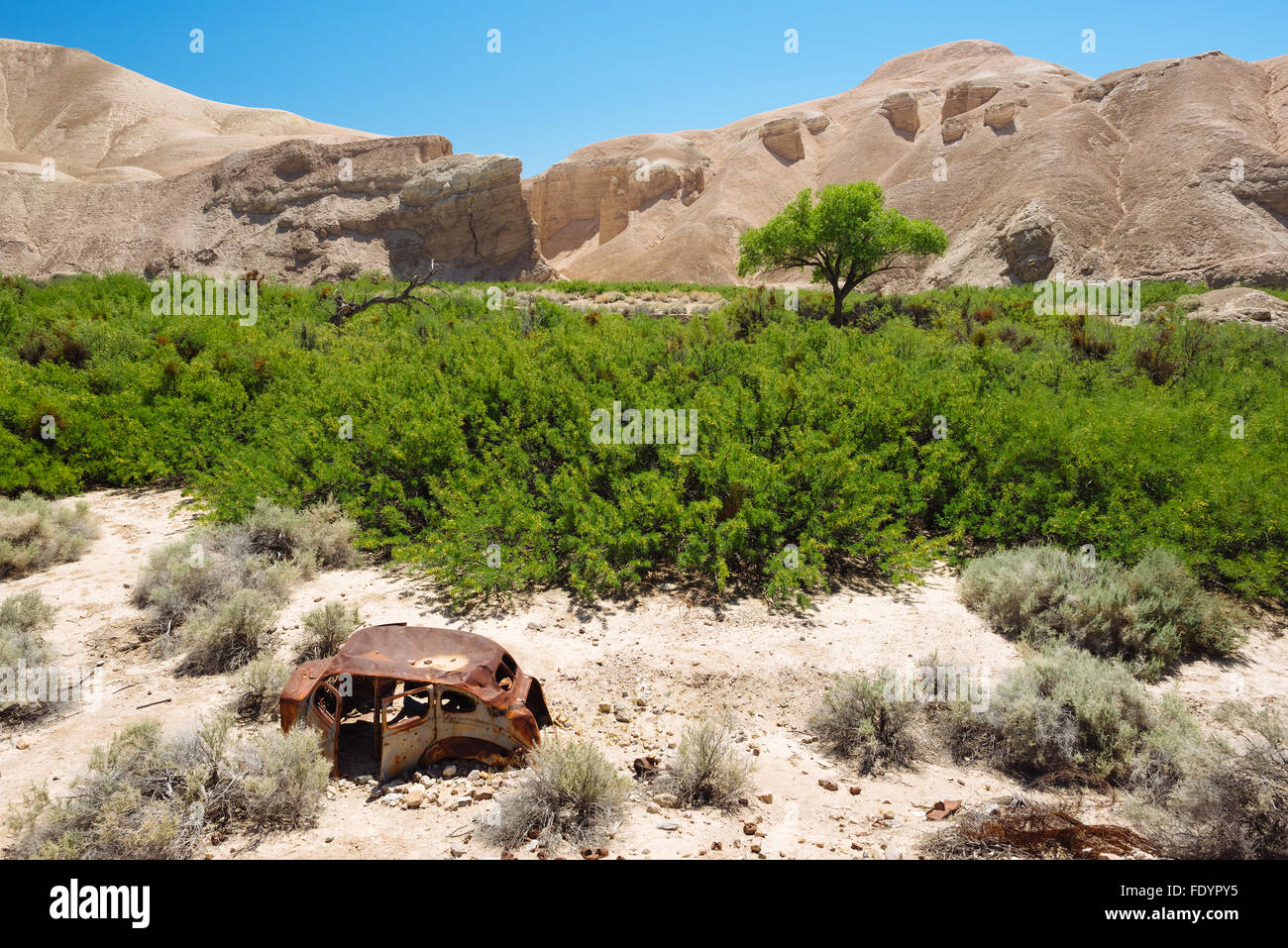 Paysage désertique le long de la rivière Amargosa sentier près de Tecopa, California Banque D'Images