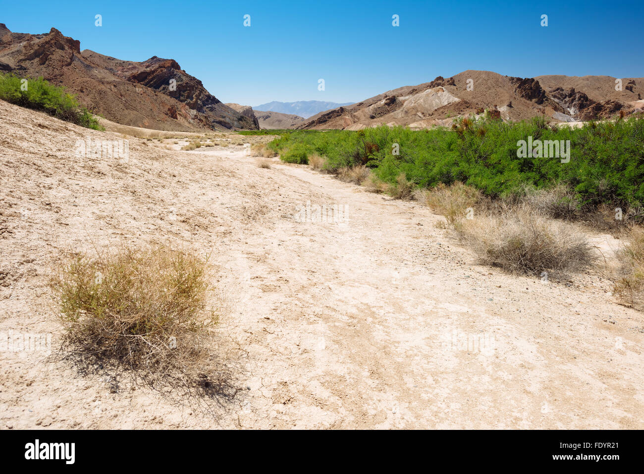 Paysage désertique le long de la rivière Amargosa sentier près de Tecopa, California Banque D'Images