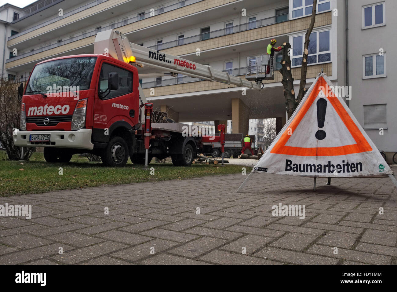 Berlin, Allemagne, Tree work Banque D'Images