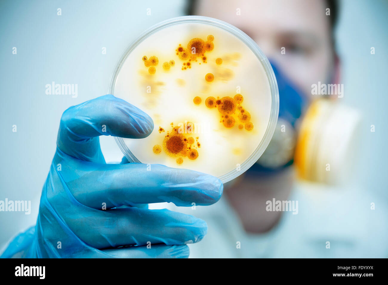 La science et la recherche de laboratoire.Un scientifique tenant une boîte de Pétri avec les virus et bactéries cellules. Banque D'Images