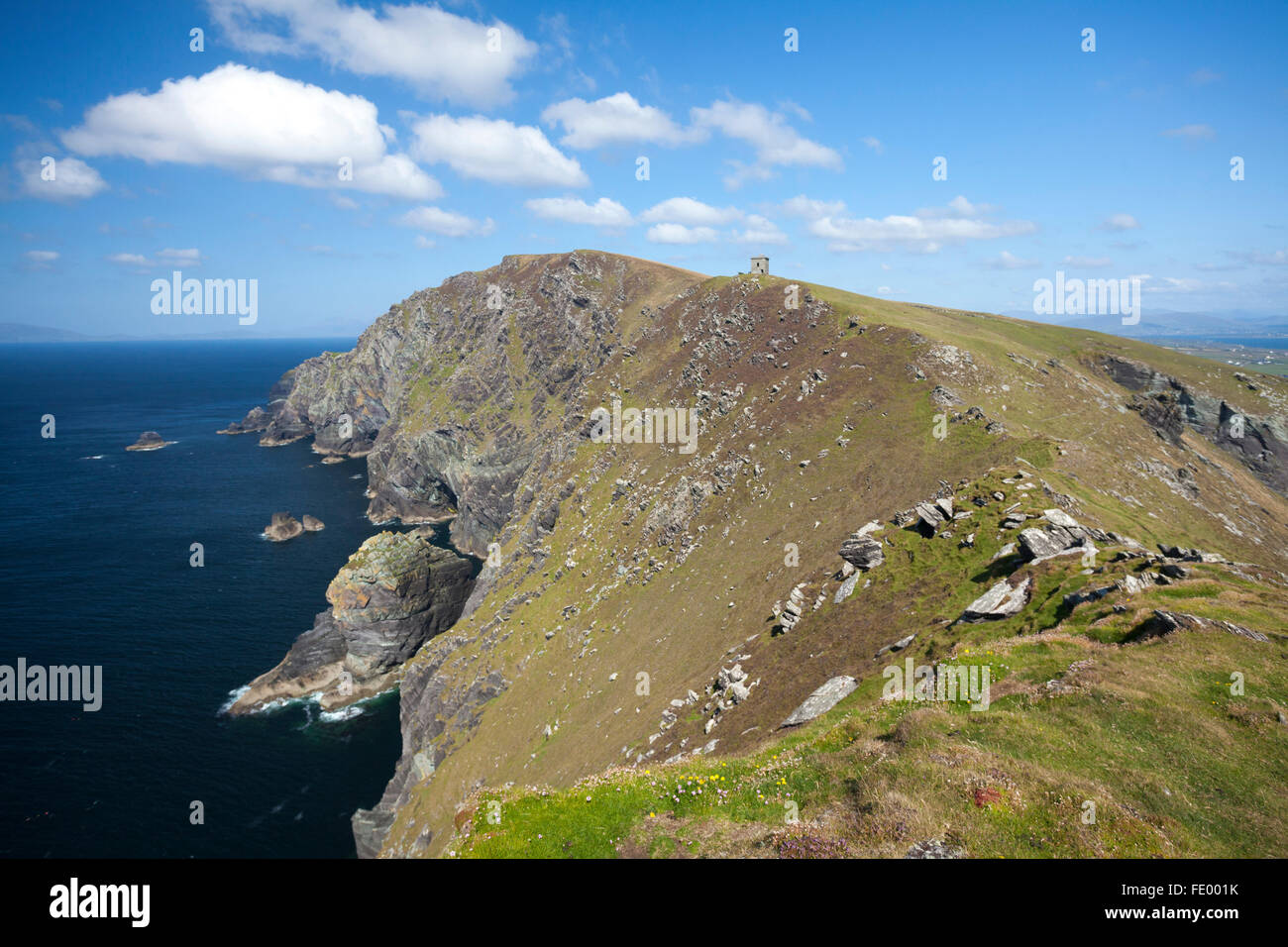 Bray Head, Valentia Island, comté de Kerry, Irlande. Banque D'Images
