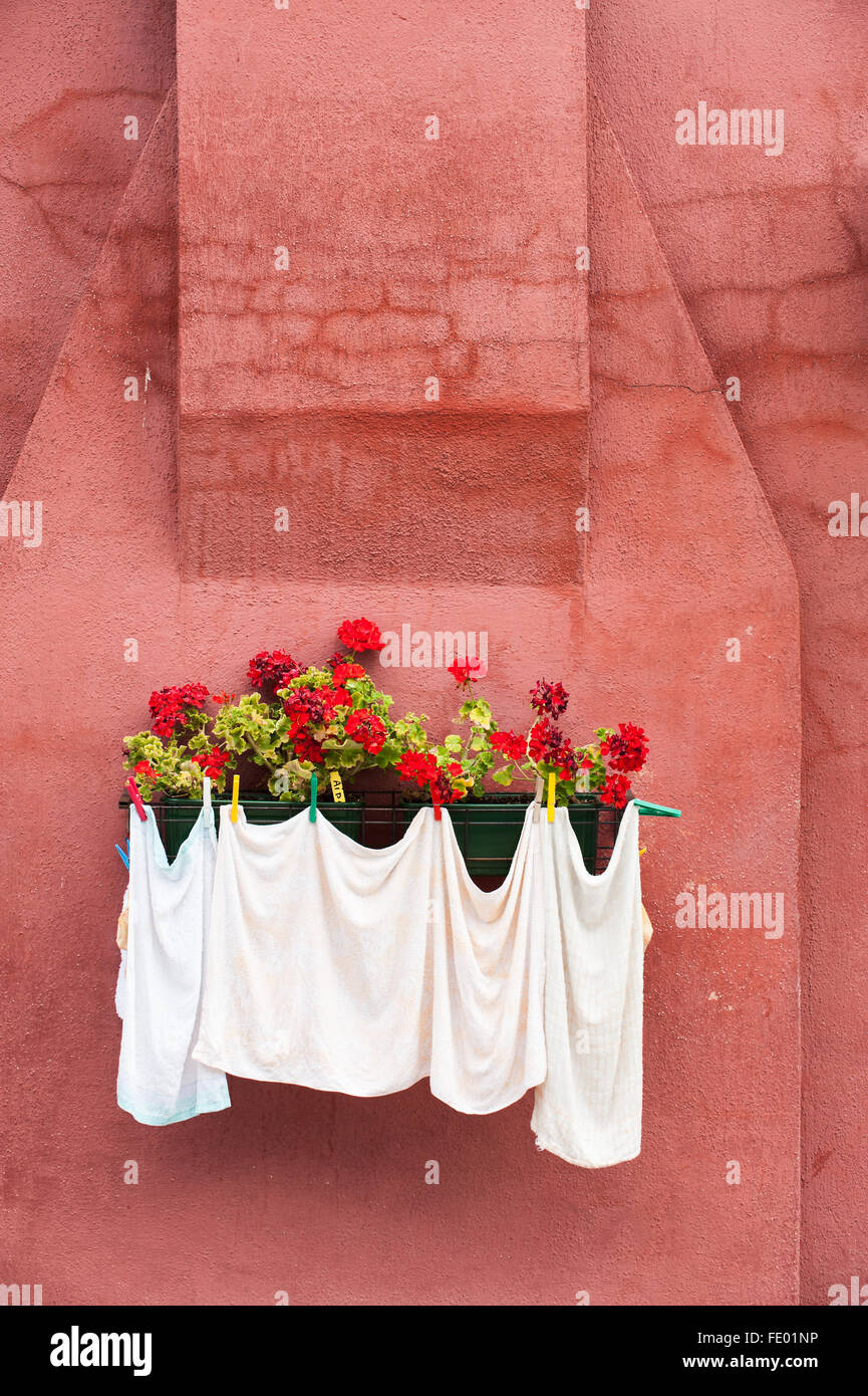 Torchons suspendus contre mur fenêtre fort Rose Banque D'Images