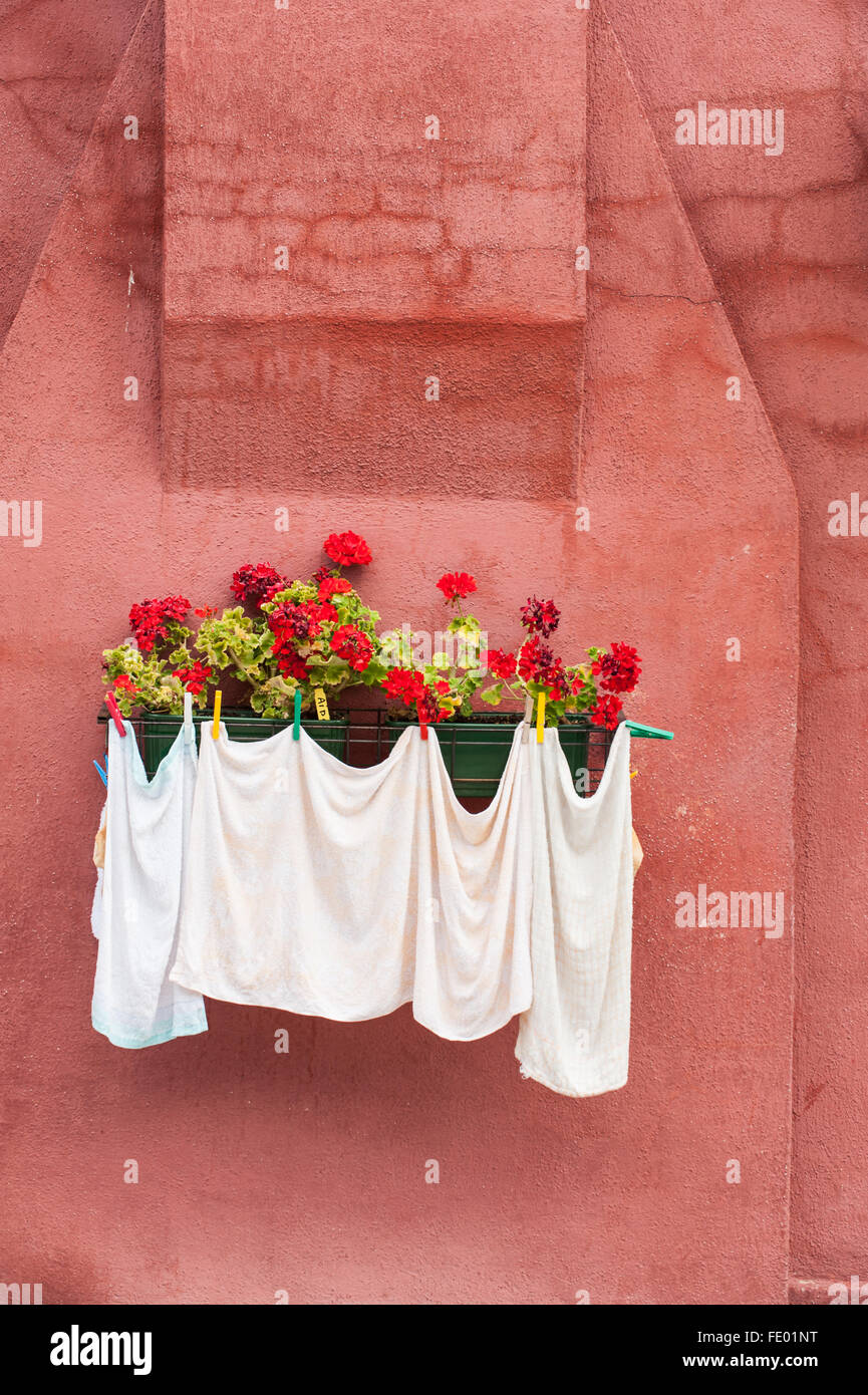 Torchons suspendus contre mur fenêtre fort Rose Banque D'Images
