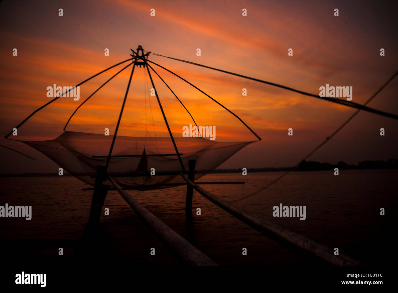 Nature, Paysage, coucher de soleil, les poissons chinois, net back Waters Kerala, golden sky, Banque D'Images