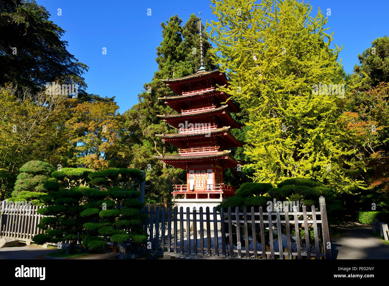 5-niveaux pagode à Japanese Tea Garden, le Golden Gate Park, San Francisco, California, USA Banque D'Images
