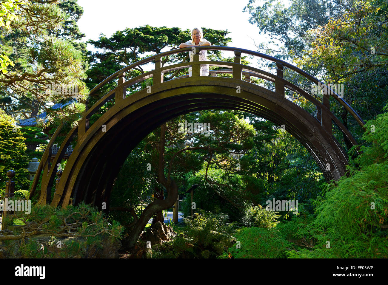 Pont de lune dans le jardin de thé japonais, le Golden Gate Park, San Francisco, California, USA Banque D'Images