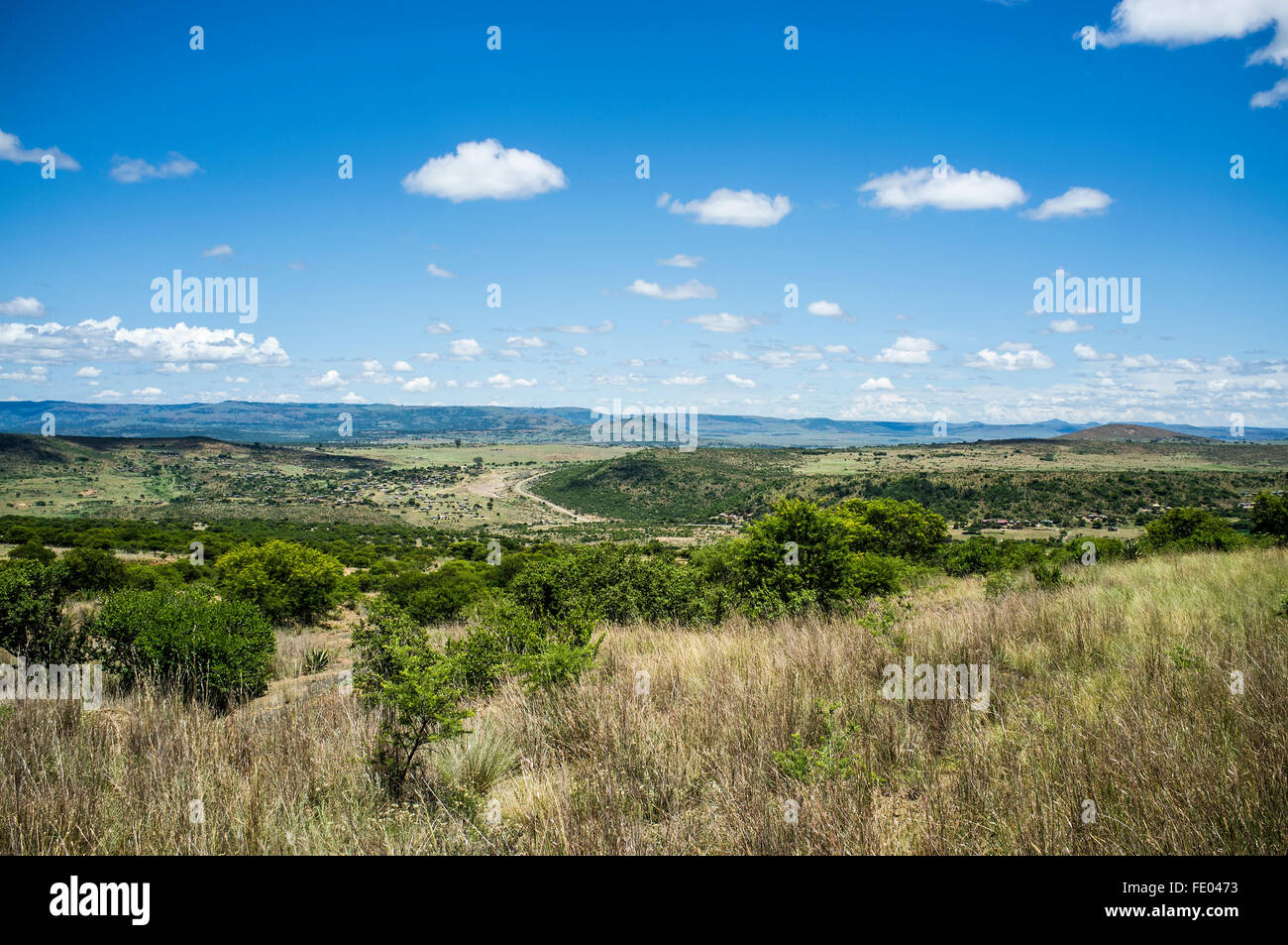 Kwa-Zulu Natal, Afrique du Sud Banque D'Images