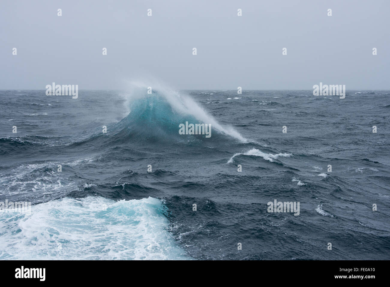 La NOUVELLE ZELANDE, le sud de l'océan. Une mer agitée et des vents violents au large de la côte de l'île Campbell aka Moto Ihupuku, une île subantarctique. Banque D'Images